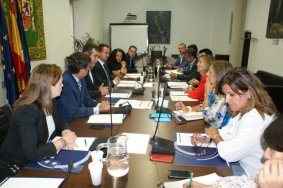 Reunión de las Comisiones de Bienestar Social y de Inmigración y Cohesión Social de la FEMP